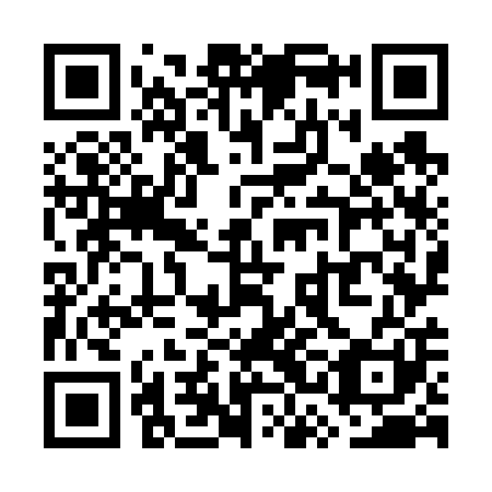 QR code for plate WSO 601