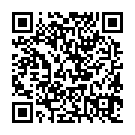 QR code for WVU385