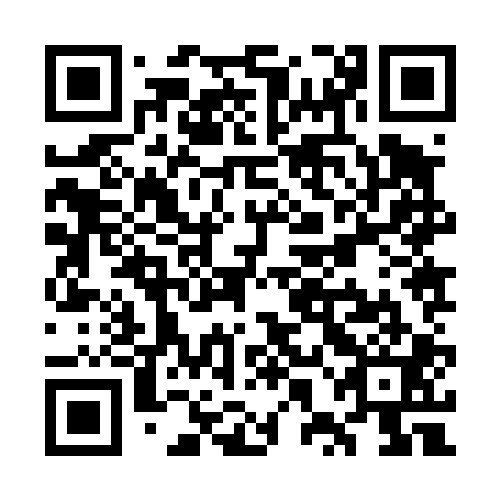 QR code for plate WXJ 401