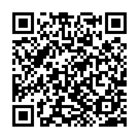 QR code for plate WZL 580