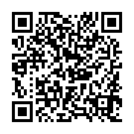 QR code for WZL990