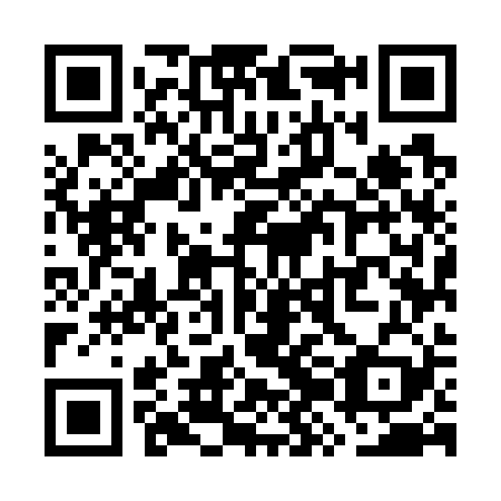 QR code for WZM729
