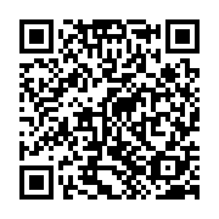 QR code for WZO308