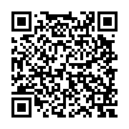 QR code for plate WZX 082