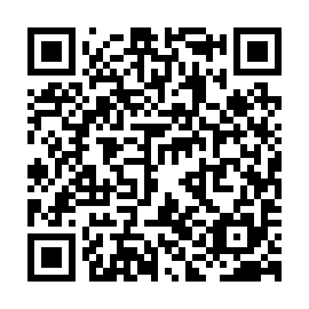 QR code for XAE 295