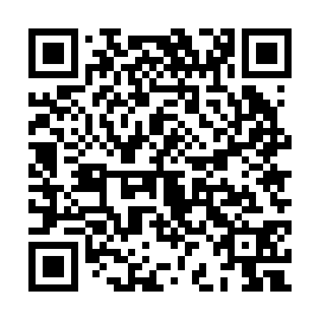 QR code for plate XBE 230