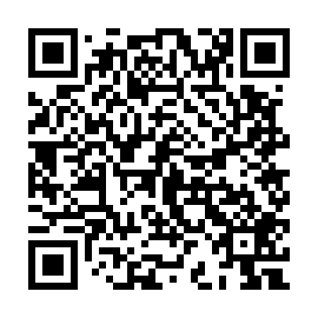 QR code for XBG 509
