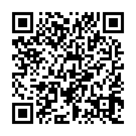 QR code for XCN 919