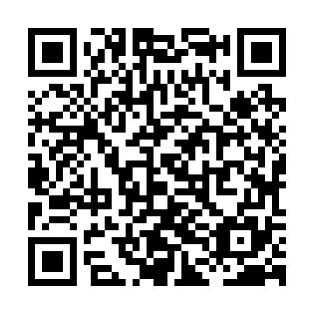 QR code for plate XDJ 275