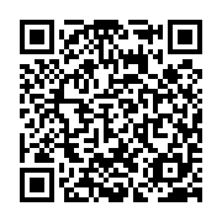 QR code for plate XEU 595