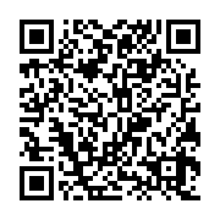 QR code for plate XIG 038
