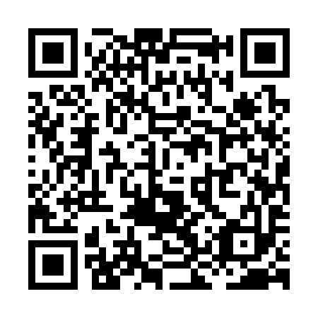 QR code for XKU393