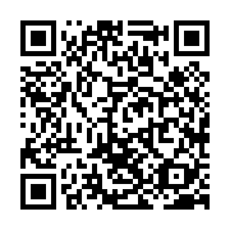 QR code for plate XKX 029