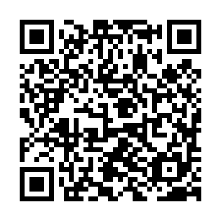 QR code for XLJ 495