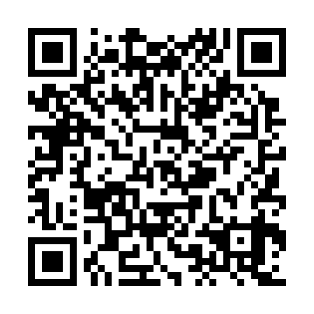QR code for XMD339