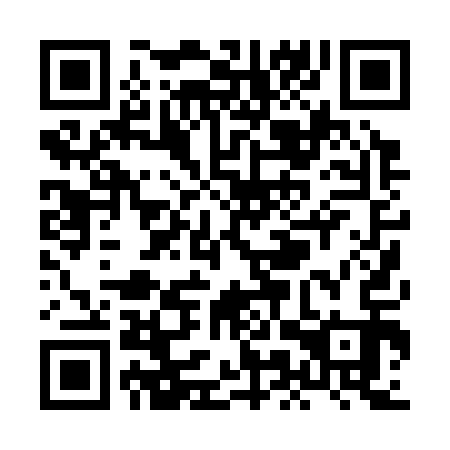 QR code for XMP 313