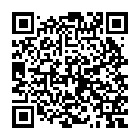 QR code for plate XPB 250