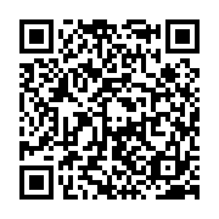 QR code for XSI 133