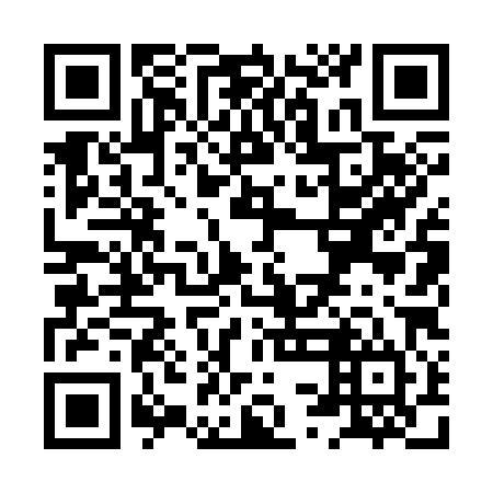 QR code for plate XSL 384