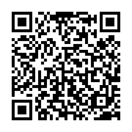 QR code for XSL493