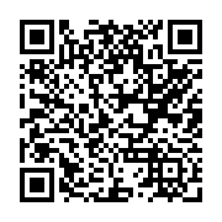 QR code for XVI273