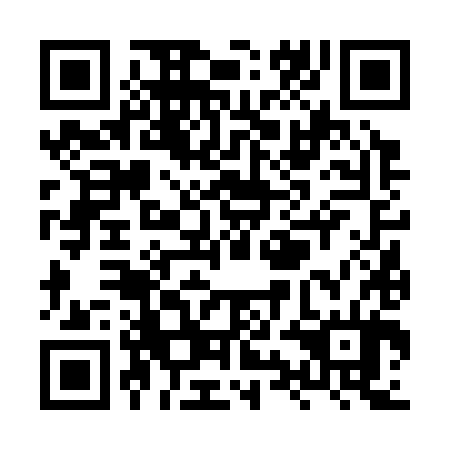 QR code for XYF 384