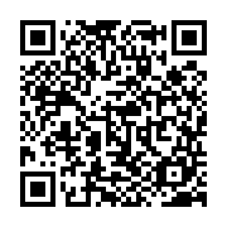 QR code for plate XYK 545