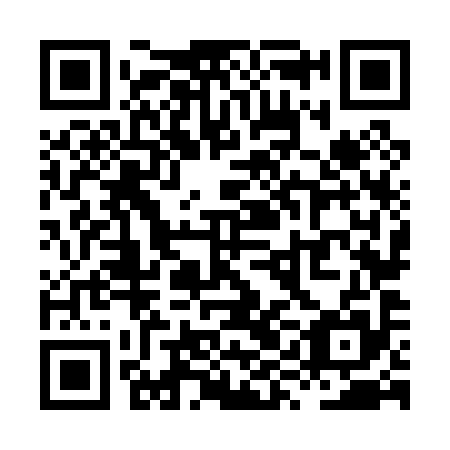 QR code for XYN095