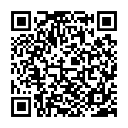 QR code for plate XYN 737