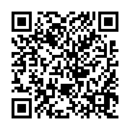 QR code for plate YAN 646