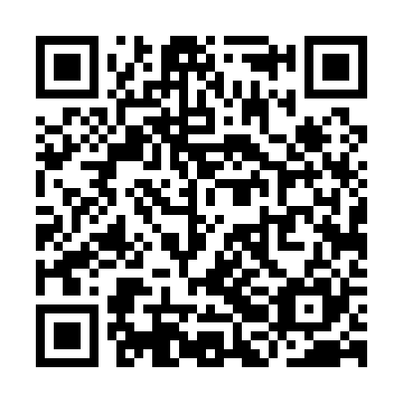 QR code for plate YBD 125