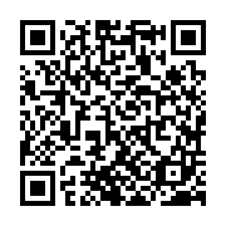 QR code for plate YCJ 303