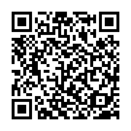 QR code for plate YCX 219