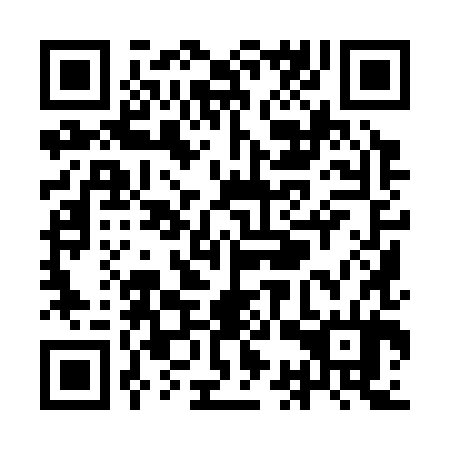 QR code for YCY 384