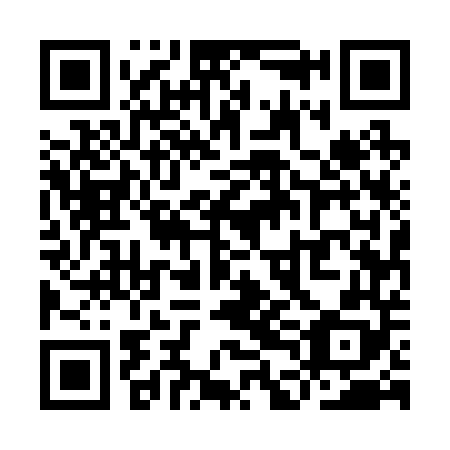 QR code for plate YDE 248