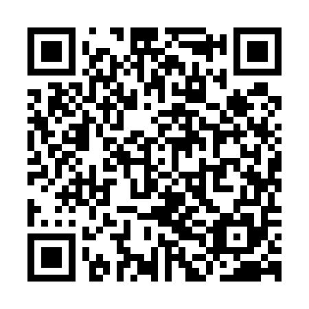QR code for plate YDI 555