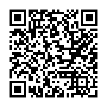 QR code for YFE 313