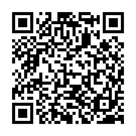 QR code for plate YFI 113