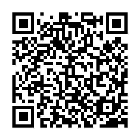 QR code for plate YFJ 411