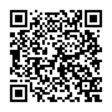 QR code for YHX 733