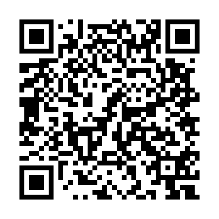QR code for plate YHZ 510