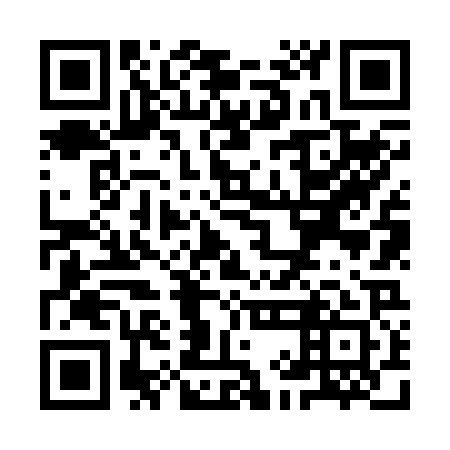 QR code for plate YIN 221