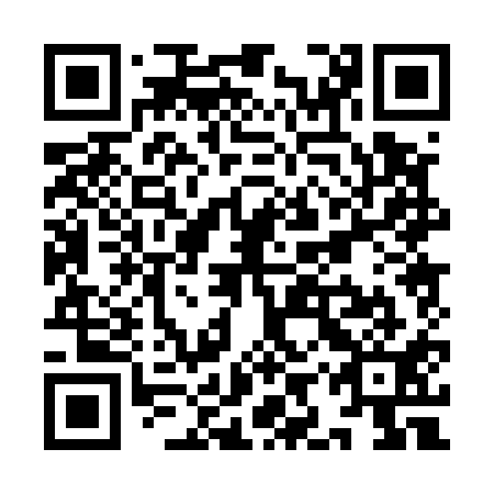 QR code for plate YIP 511