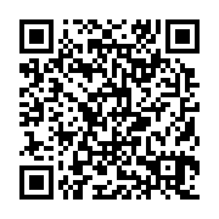 QR code for YIQ 325