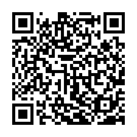 QR code for YLL 311