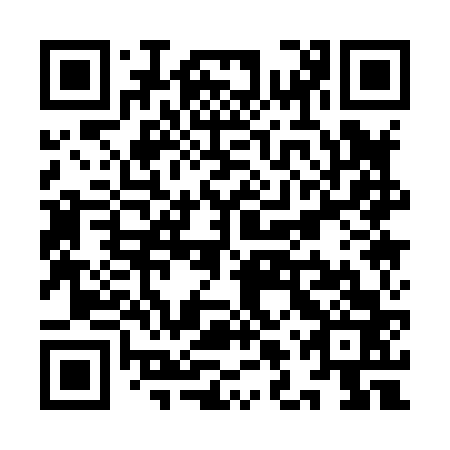QR code for plate YLQ 863