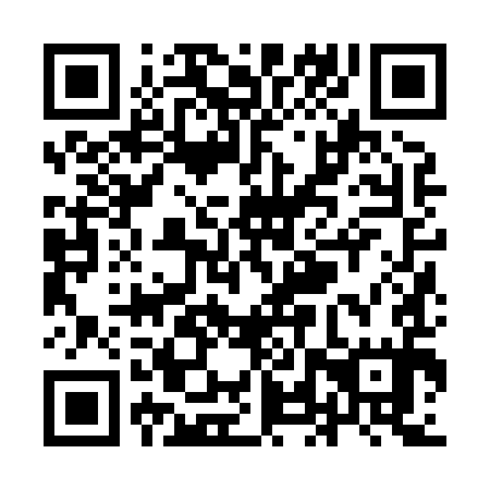 QR code for YLZ 895