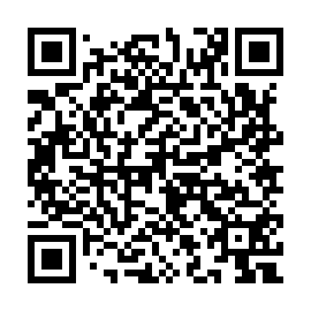 QR code for YLZ 950