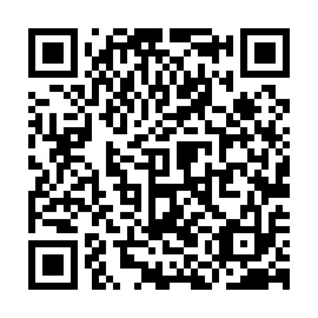 QR code for YML 113