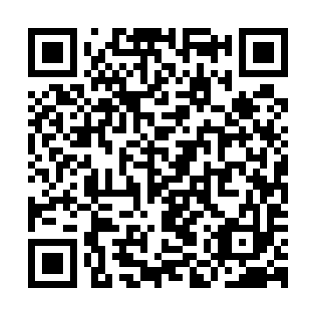 QR code for plate YMU 593